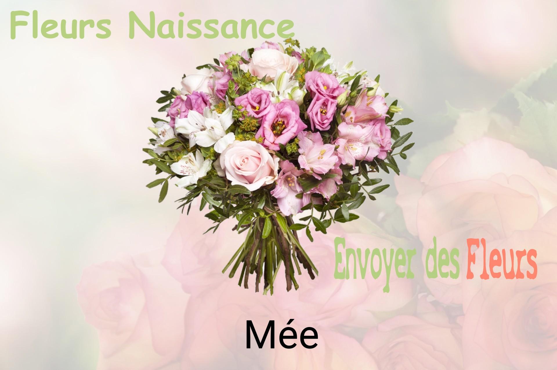 Bouquet de fleurs de naissance livré à Mée